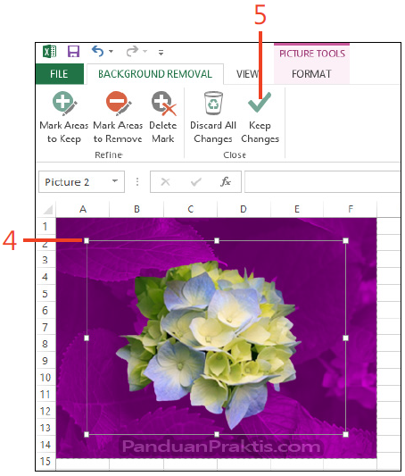 Detail Cara Menghilangkan Background Di Excel Nomer 17