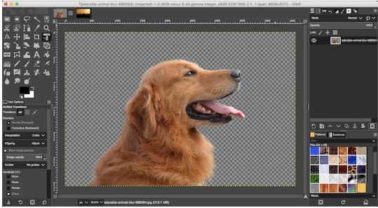 Detail Cara Menghilangkan Background Di Gimp Nomer 23