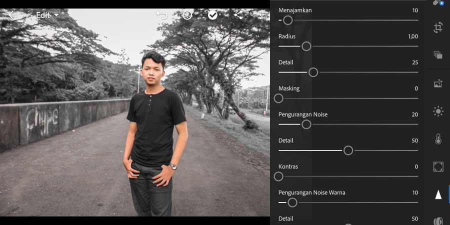 Detail Cara Mengubah Warna Daun Di Lightroom Android Nomer 54