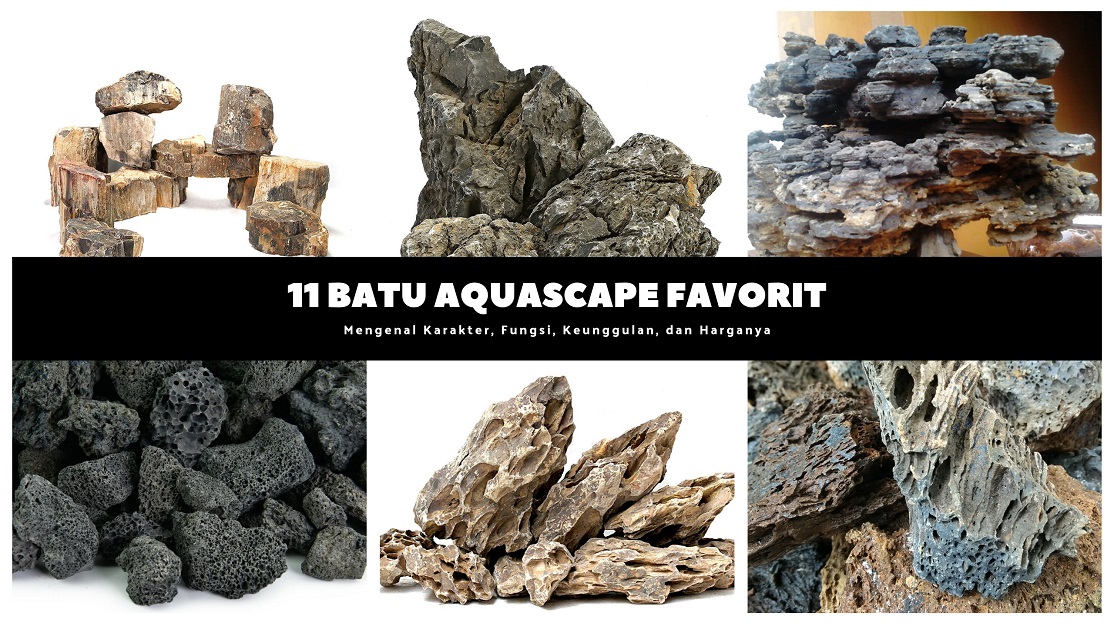 Detail Cara Merangkai Batu Aquascape Nomer 11