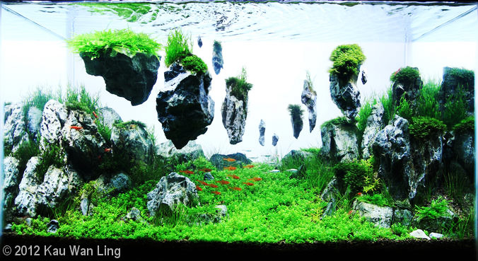 Detail Cara Merangkai Batu Aquascape Nomer 8