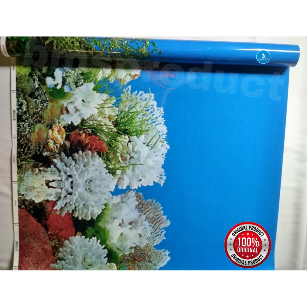 Detail Cara Pasang Wallpaper Aquarium Nomer 14