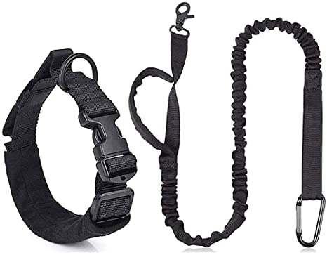 Detail Carabiner Dog Collar Nomer 11