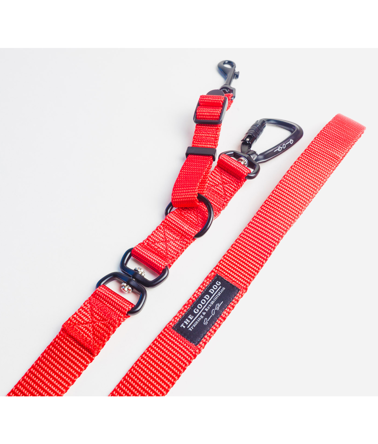 Detail Carabiner Dog Collar Nomer 24