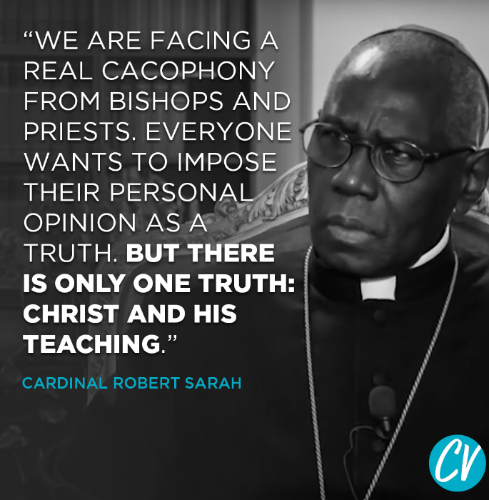 Detail Cardinal Robert Sarah Quotes Nomer 13