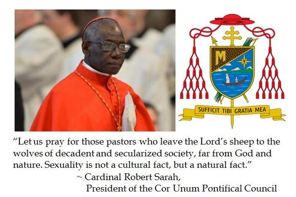 Detail Cardinal Robert Sarah Quotes Nomer 36