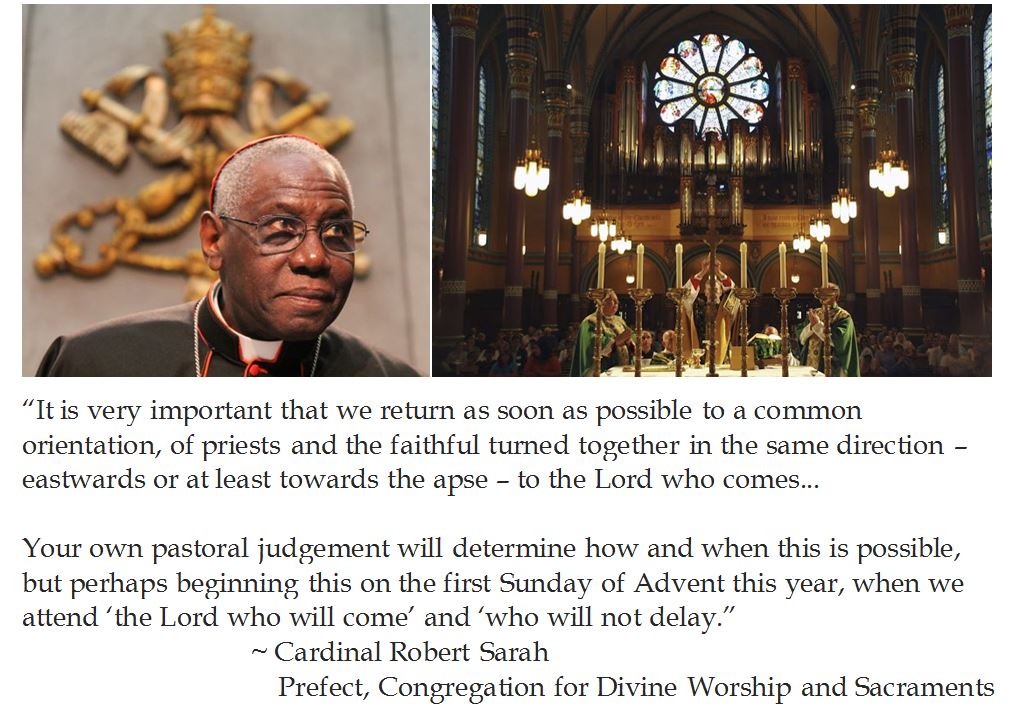 Detail Cardinal Robert Sarah Quotes Nomer 39