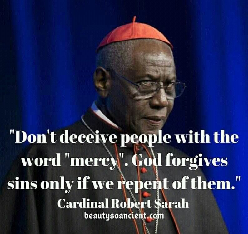 Detail Cardinal Robert Sarah Quotes Nomer 5