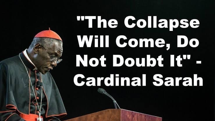 Detail Cardinal Robert Sarah Quotes Nomer 47