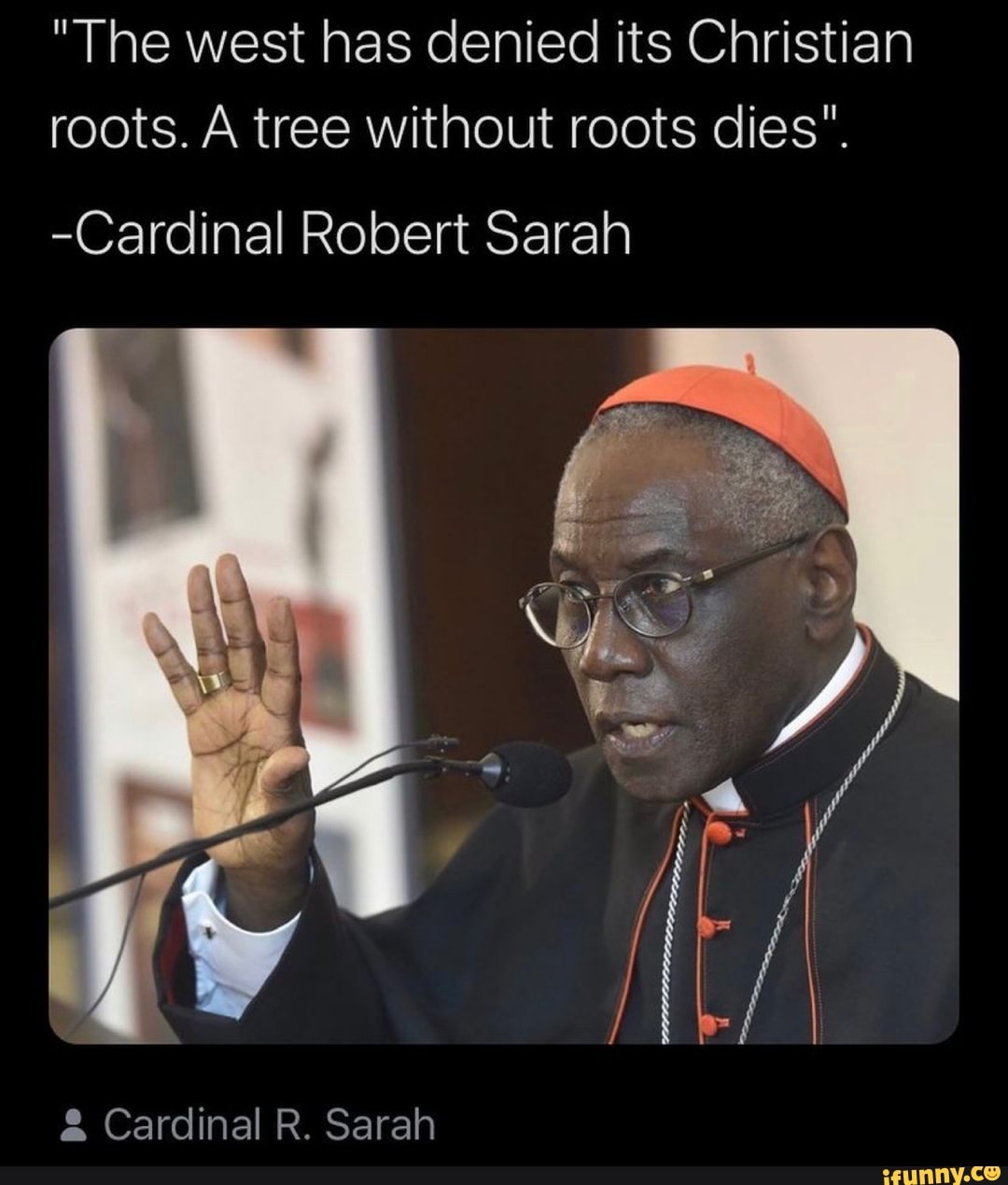Detail Cardinal Robert Sarah Quotes Nomer 49