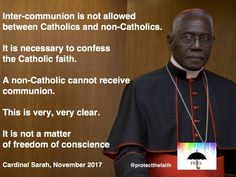 Detail Cardinal Robert Sarah Quotes Nomer 6