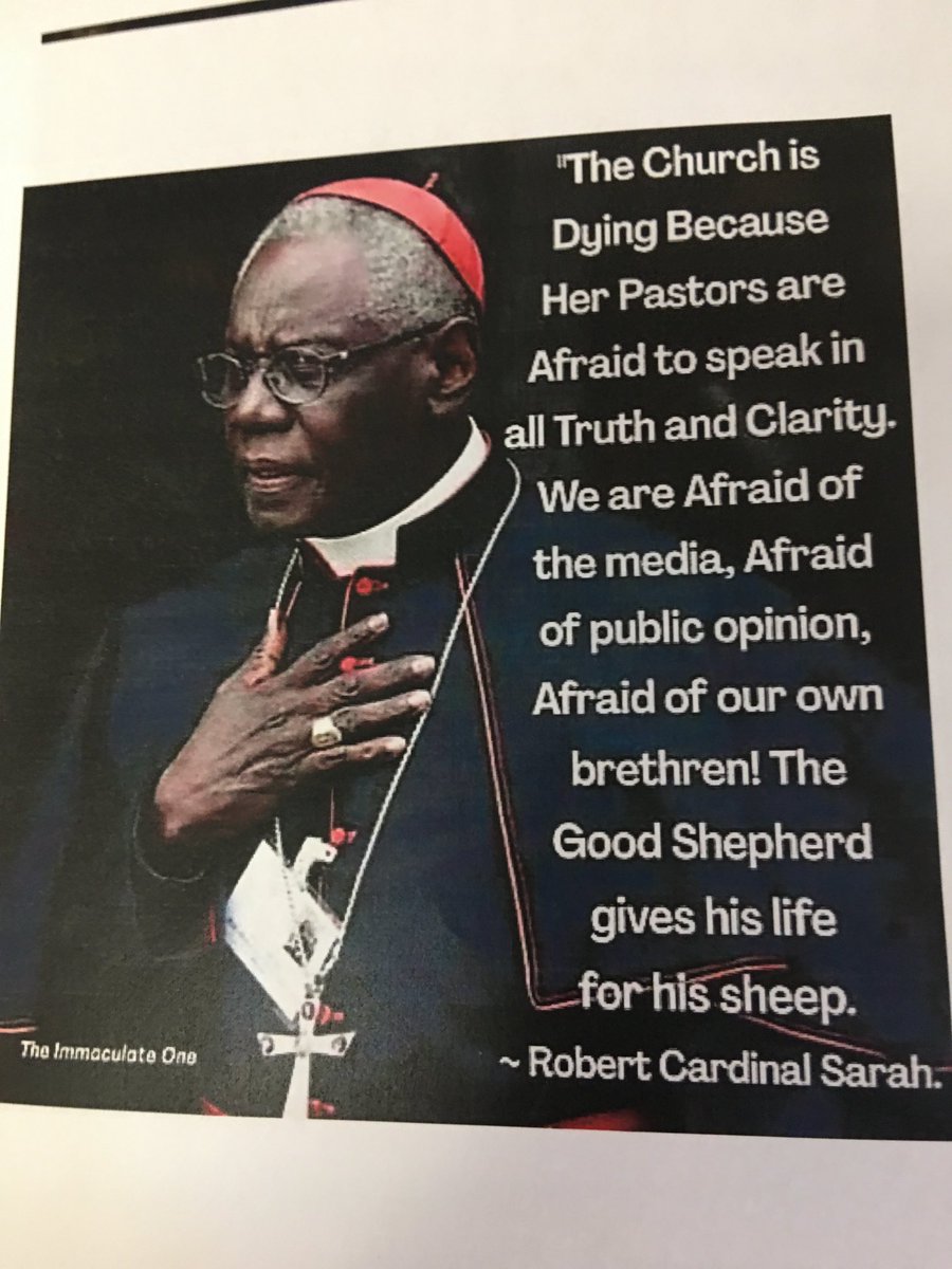 Detail Cardinal Robert Sarah Quotes Nomer 10