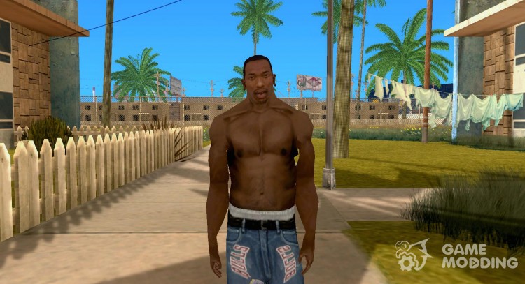 Detail Carl Johnson San Andreas Nomer 25