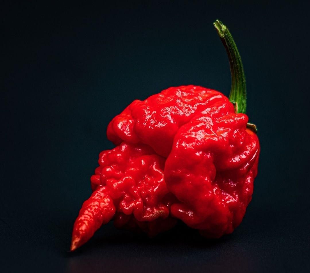 Detail Carolina Reaper Skala Nomer 22