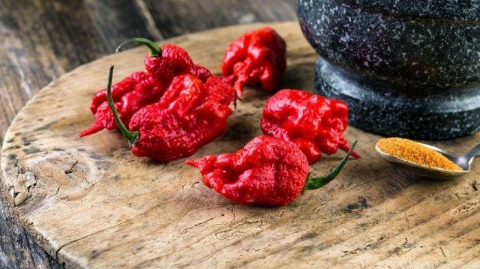 Detail Carolina Reaper Skala Nomer 6