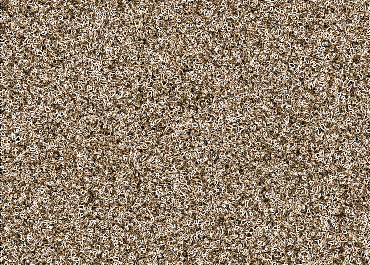 Detail Carpet Flooring Png Nomer 19