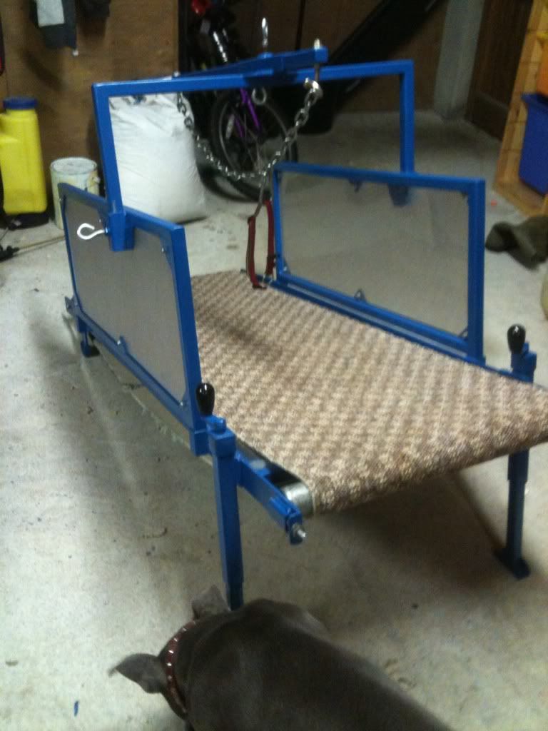 Detail Carpet Treadmill For Dogs Nomer 4