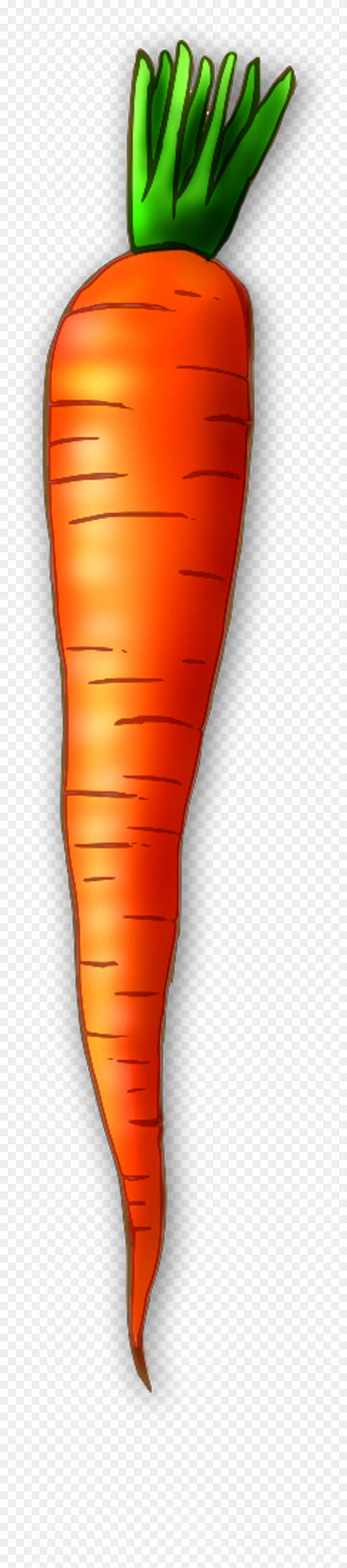 Detail Carrot Clipart Images Nomer 16