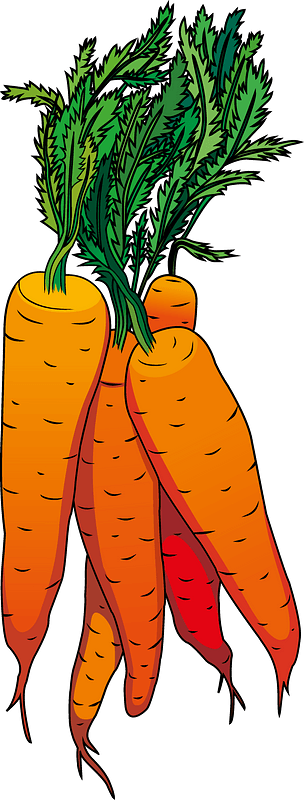 Detail Carrot Clipart Images Nomer 51