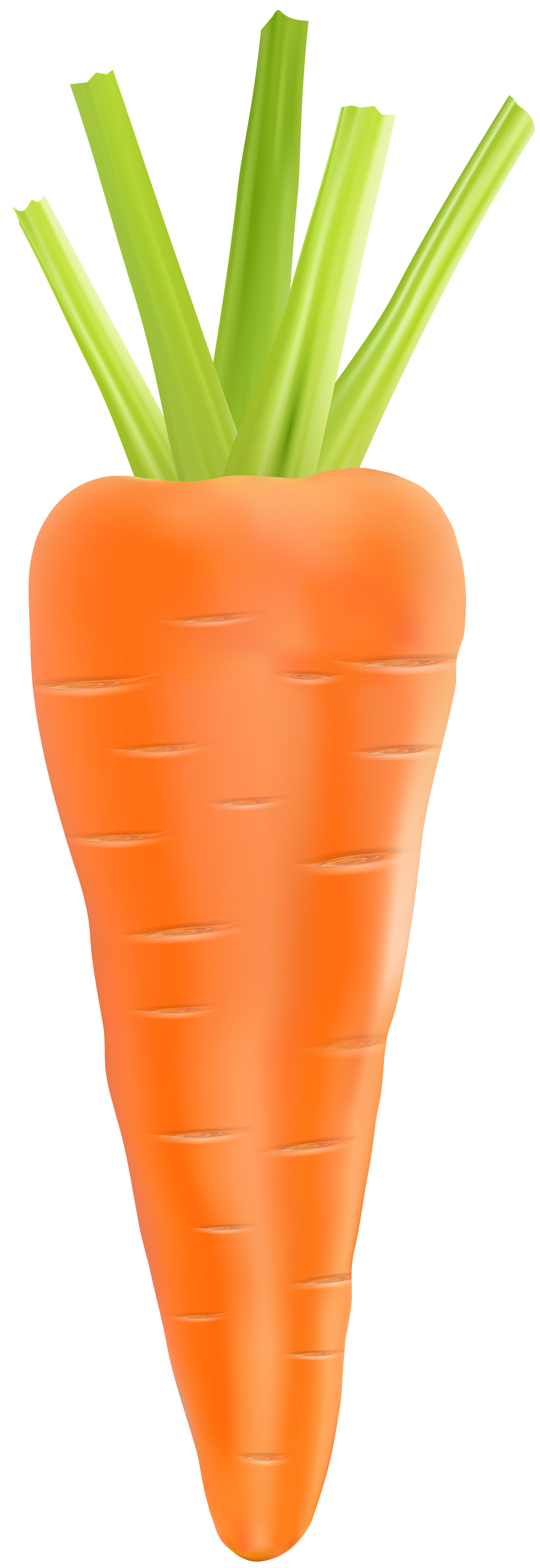 Detail Carrot Clipart Png Nomer 32