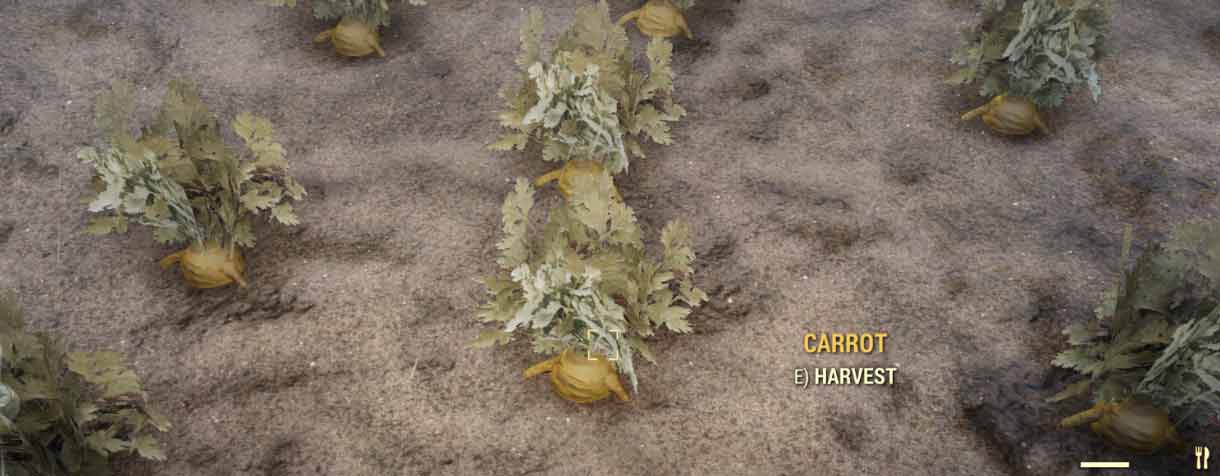 Detail Carrot Fallout 76 Nomer 5