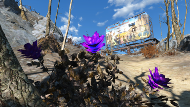 Detail Carrot Flower Fallout 4 Nomer 14