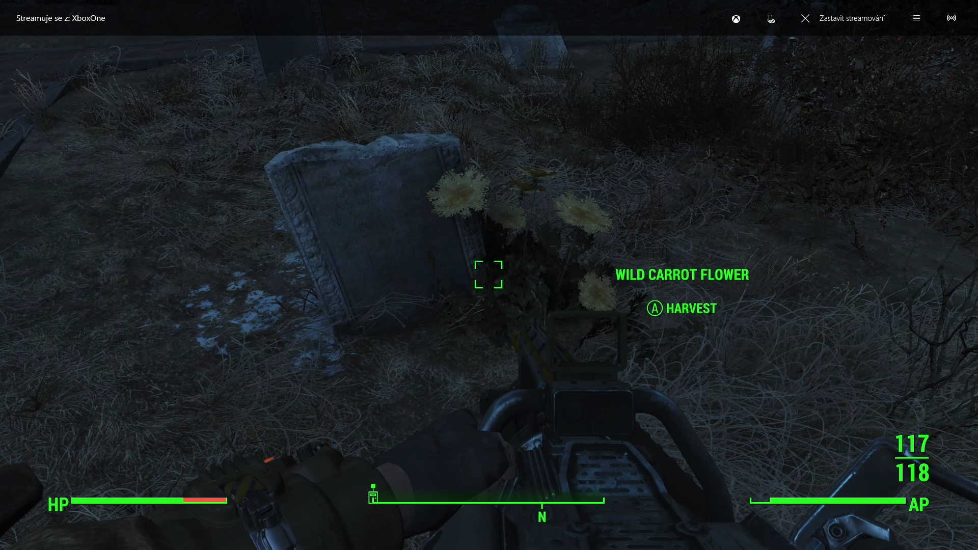 Detail Carrot Flower Fallout 4 Nomer 17