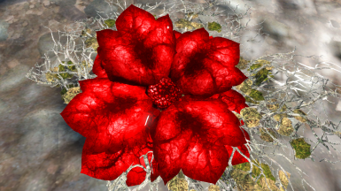 Detail Carrot Flower Fallout 4 Nomer 21