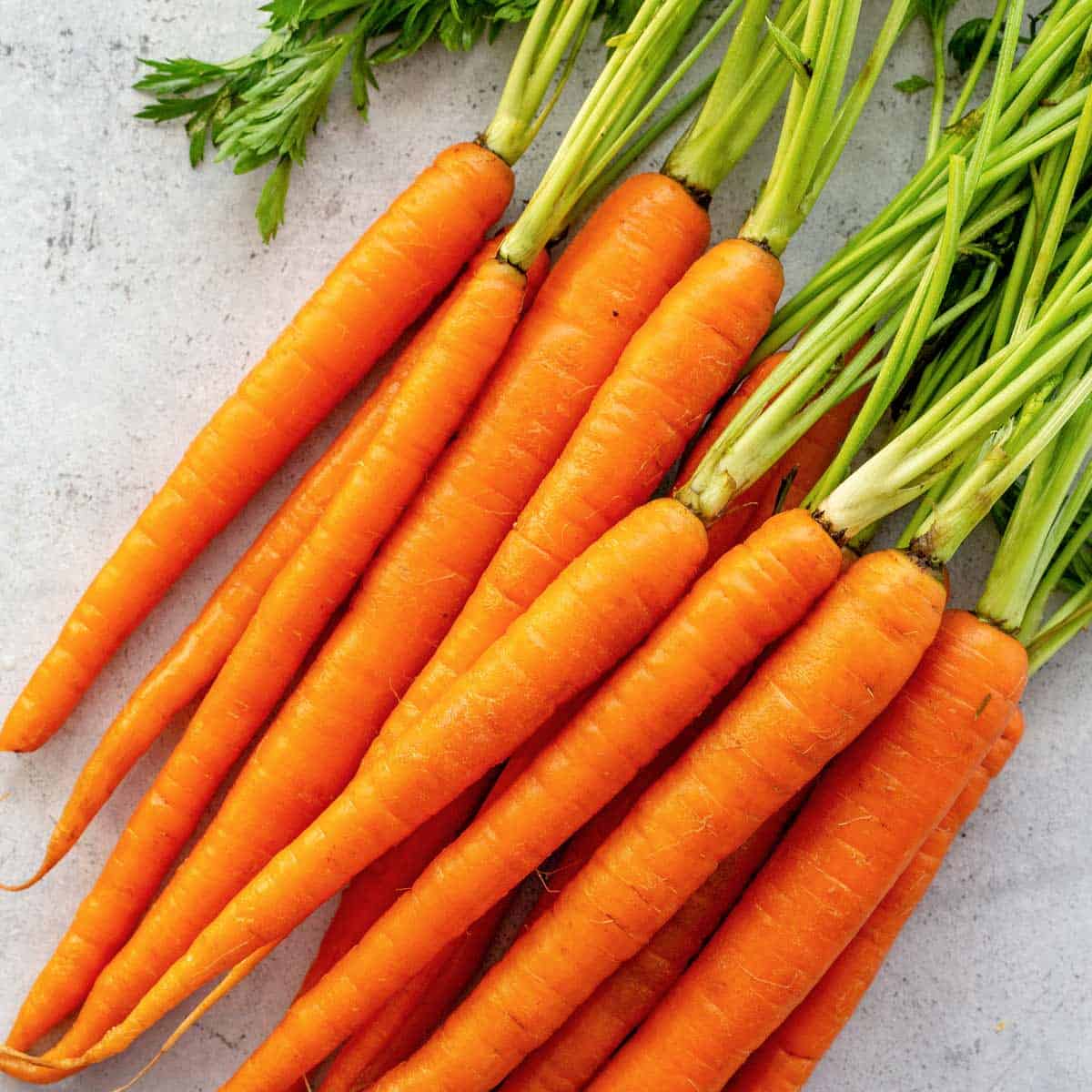 Carrot Image - KibrisPDR