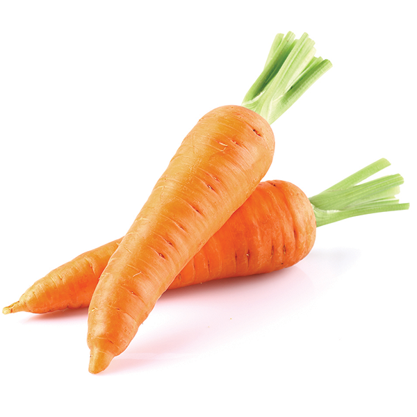 Detail Carrot Image Nomer 18
