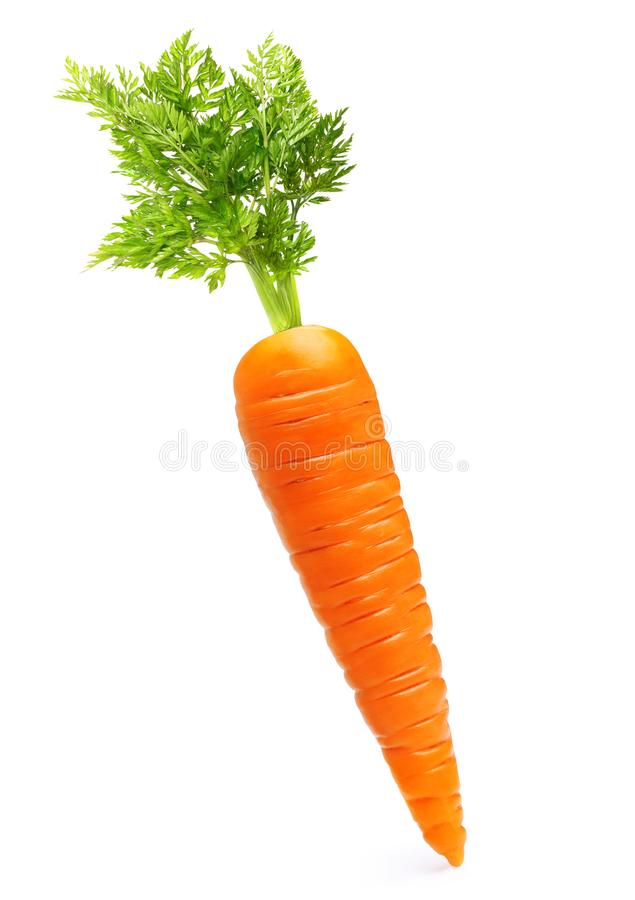 Detail Carrot Image Nomer 3