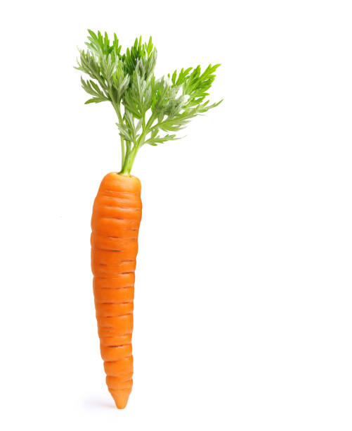 Detail Carrot Image Nomer 5