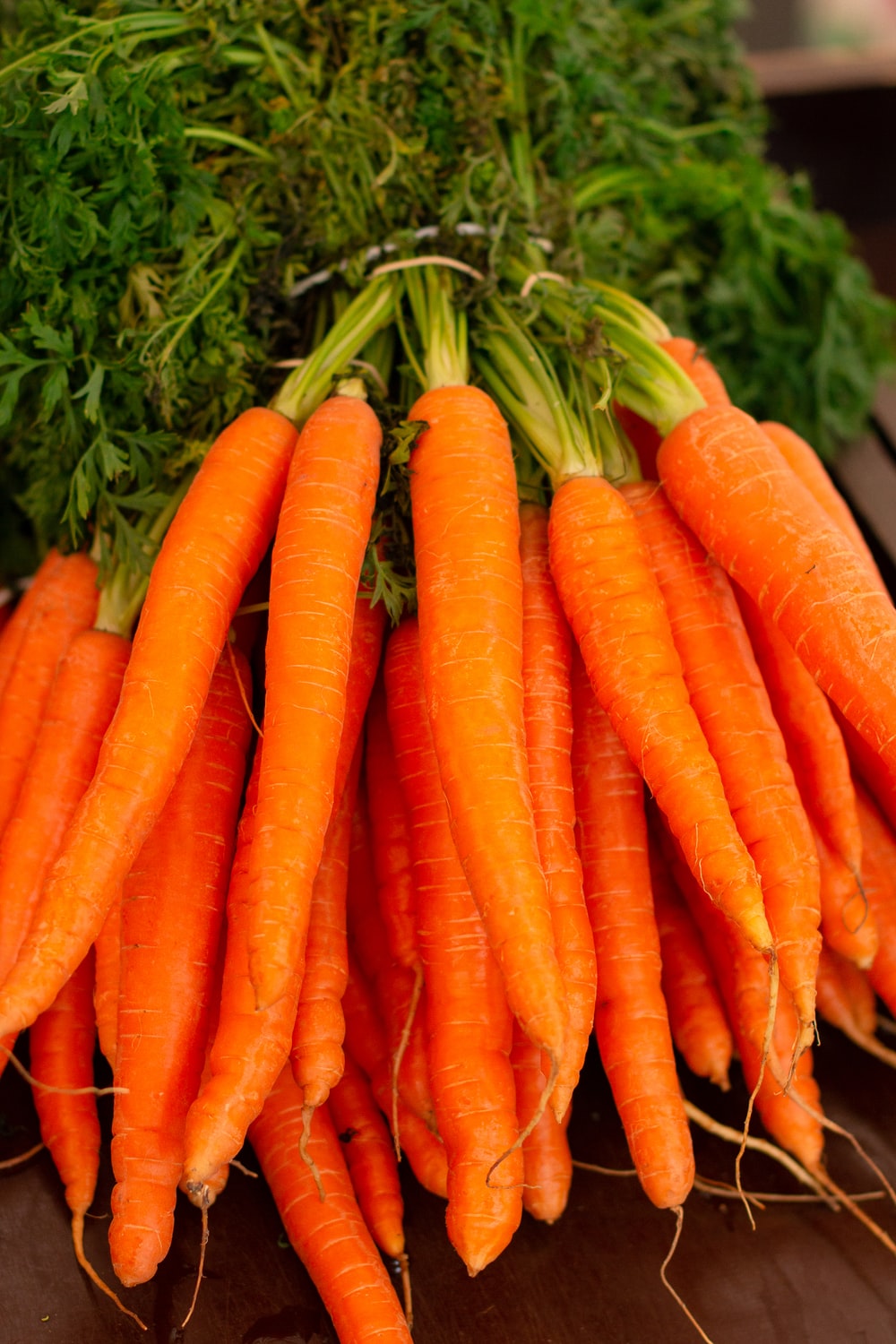 Carrot Images Free - KibrisPDR