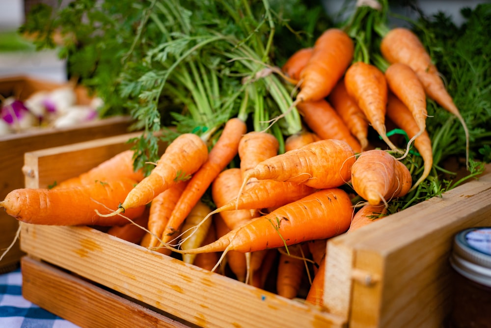Detail Carrot Images Free Nomer 17