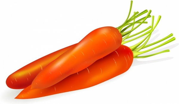Detail Carrot Images Free Nomer 25