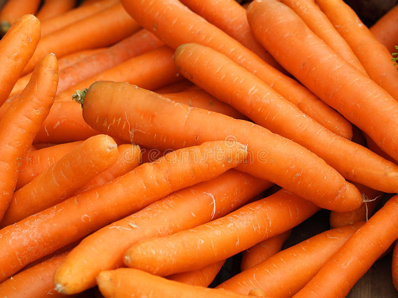 Detail Carrot Images Free Nomer 27