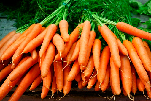Detail Carrot Images Free Nomer 4