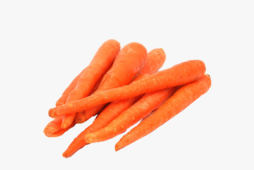 Detail Carrot Images Free Nomer 30