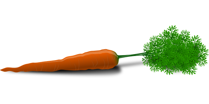 Detail Carrot Images Free Nomer 33