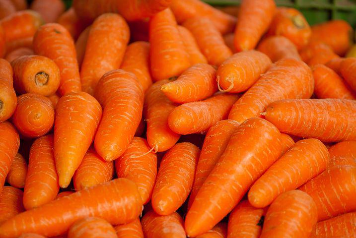 Detail Carrot Images Free Nomer 35