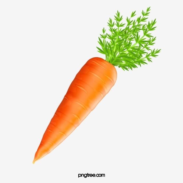 Detail Carrot Images Free Nomer 37