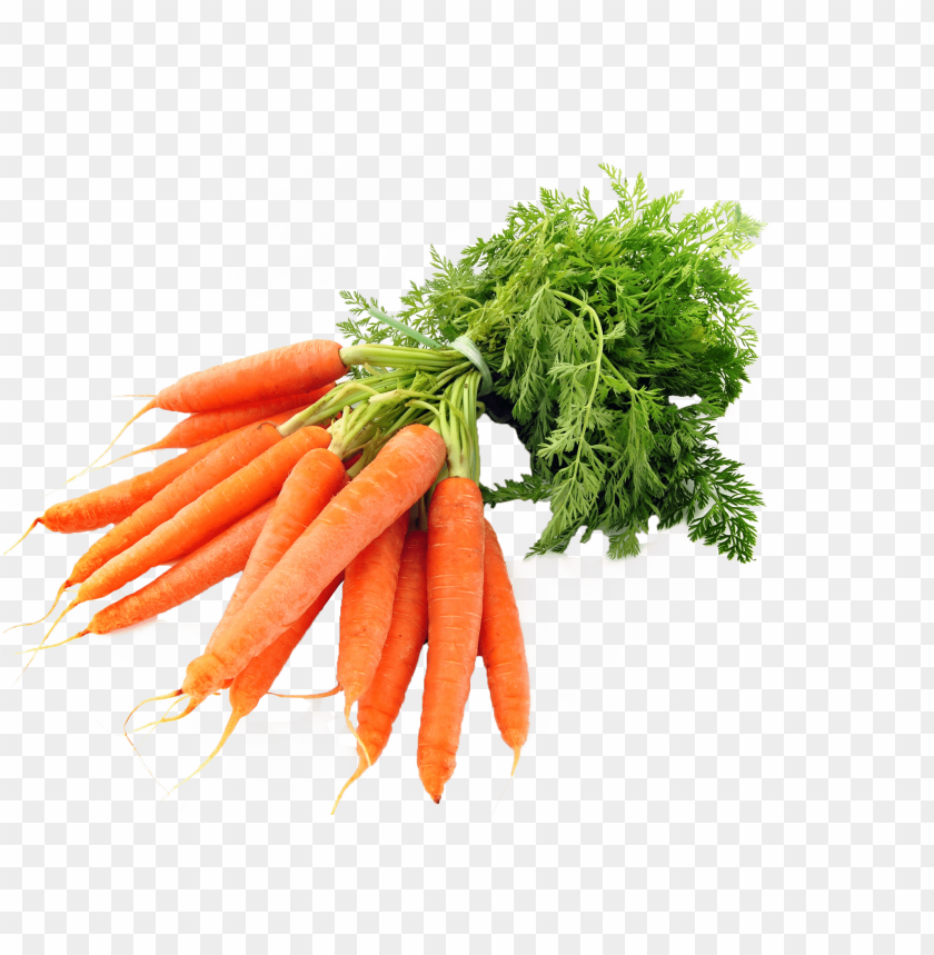 Detail Carrot Images Free Nomer 40