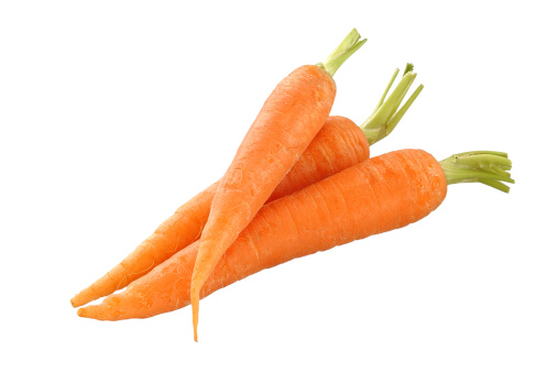 Detail Carrot Images Free Nomer 6