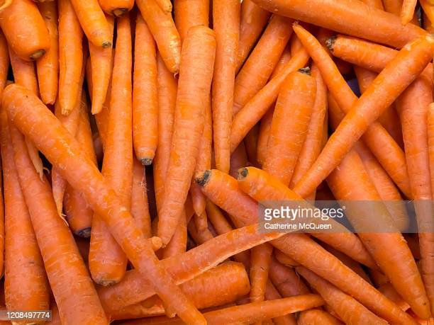 Detail Carrot Images Free Nomer 46