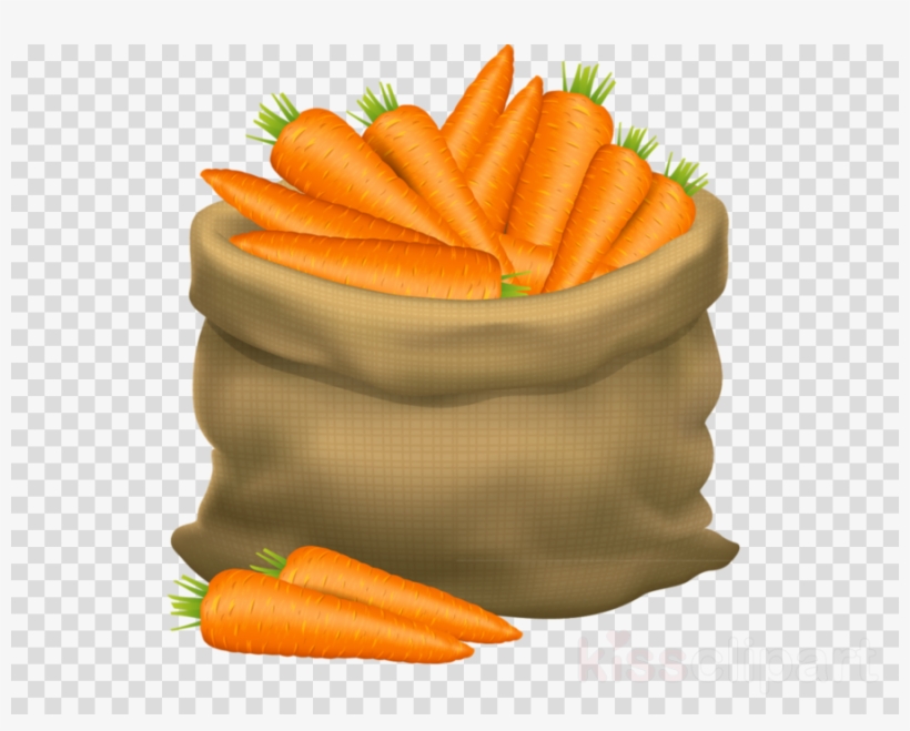 Detail Carrot Images Free Nomer 48