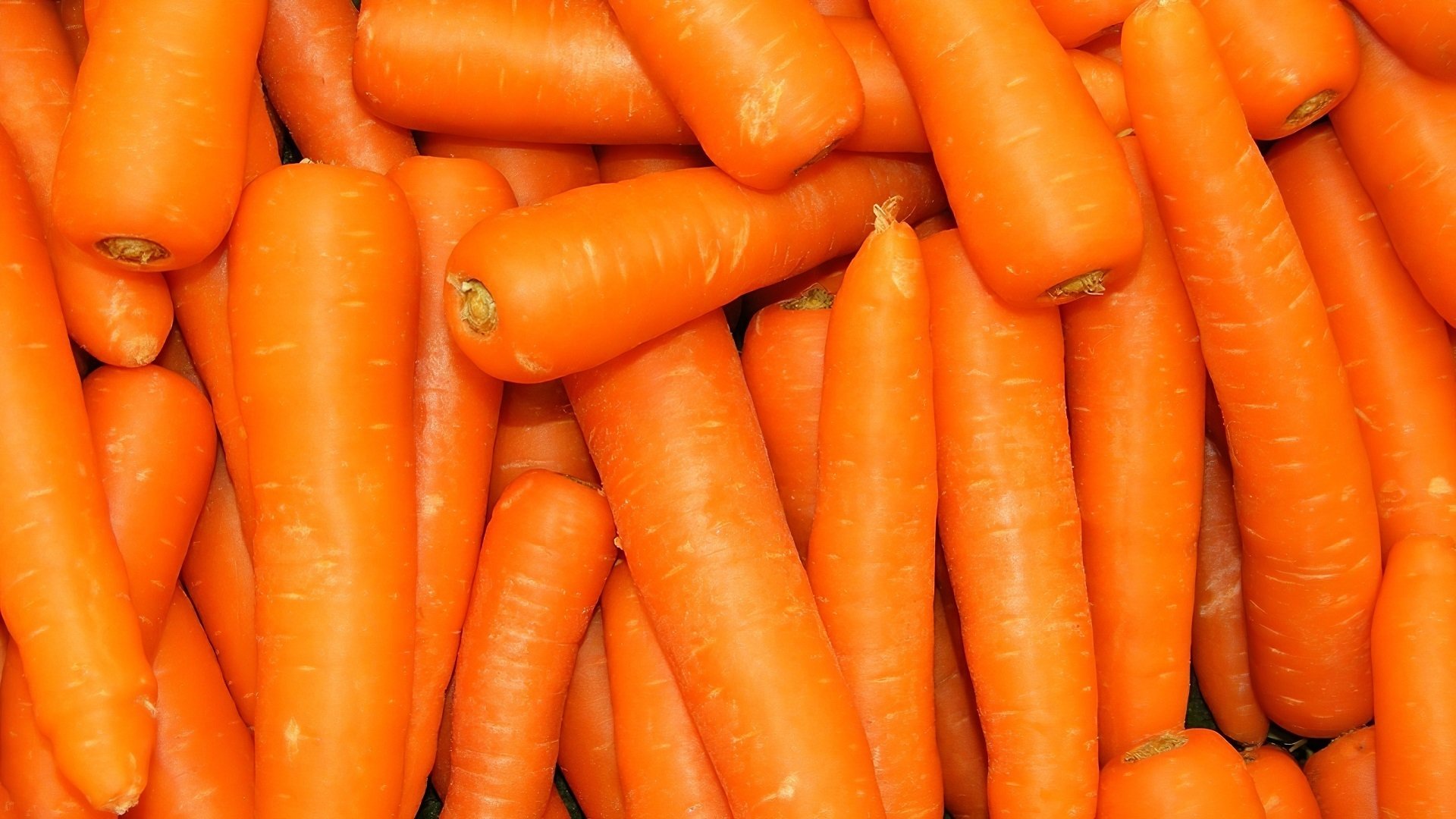 Detail Carrot Images Free Nomer 49