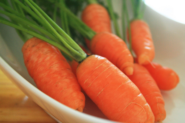 Detail Carrot Images Free Nomer 53