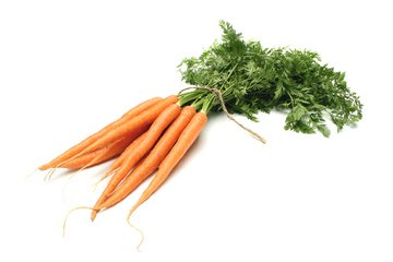 Detail Carrot Images Free Nomer 7
