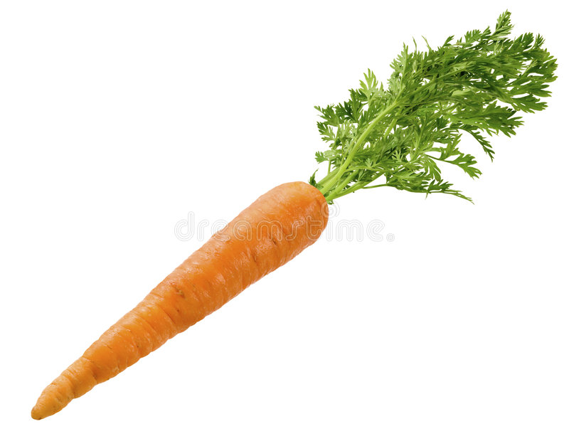 Detail Carrot Images Free Nomer 9