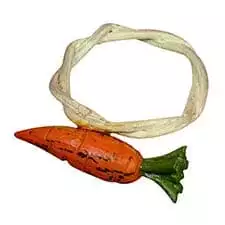 Detail Carrot Napkin Rings Nomer 17